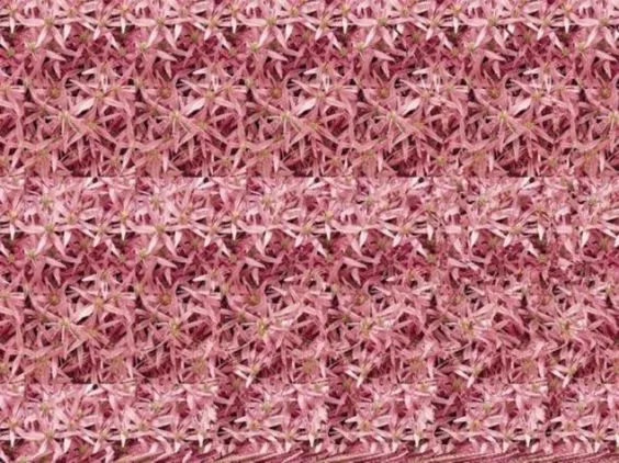 stereogram, ilúzia, mozog