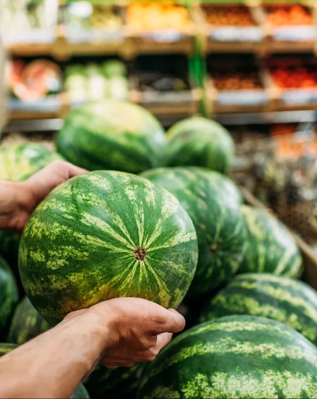 Melón