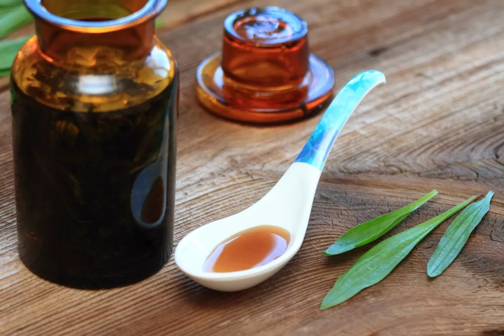 sirup proti kašlu_skorocel kopijovitý_prechladnutie