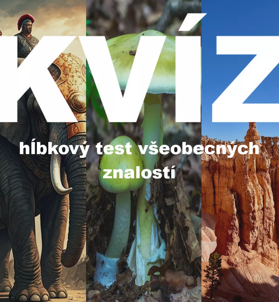 kvíz